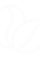 Koffein aus Kaffeebohnen